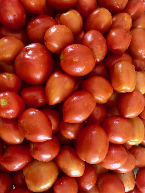 Mt. Roma Tomato